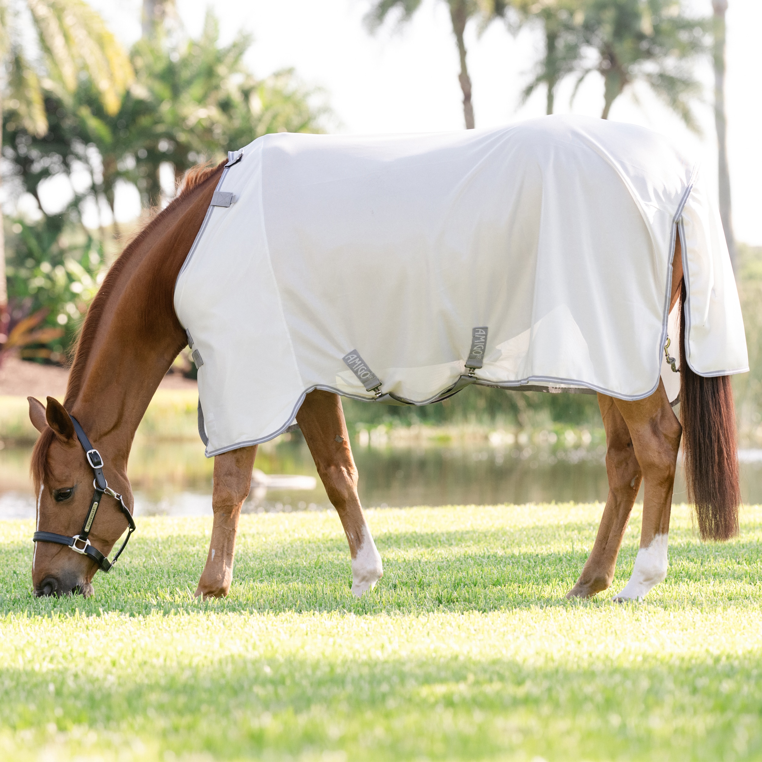 Fluedækken Amigo Bug Rug Horseware®