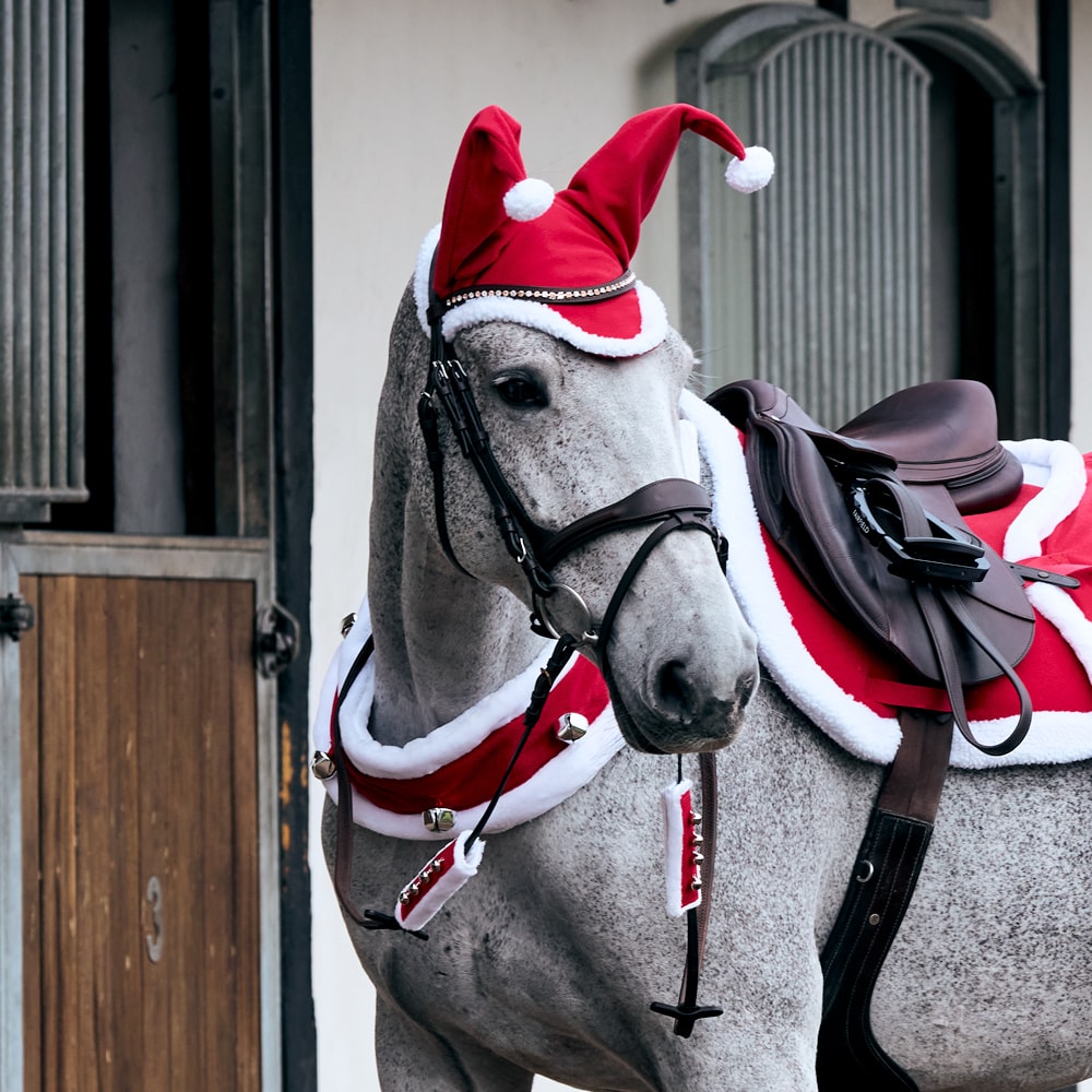 Bjældekrans  Blitzen CRW®