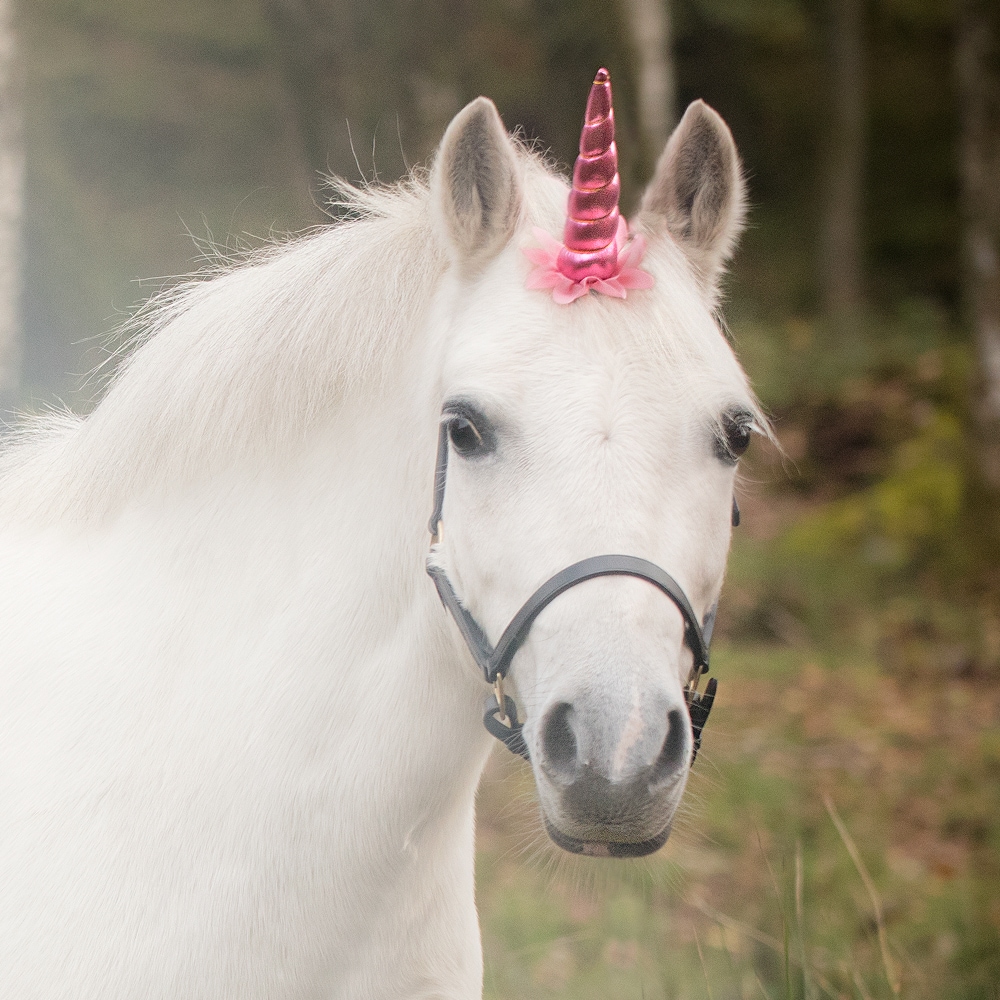 Spænde  Unicorn 