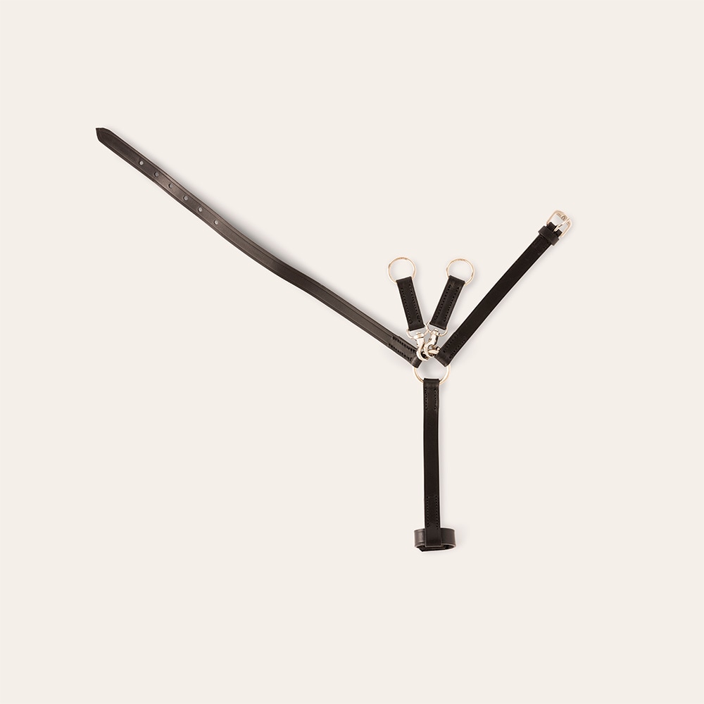  Kæphest Clifden Mini Martingale Hööks