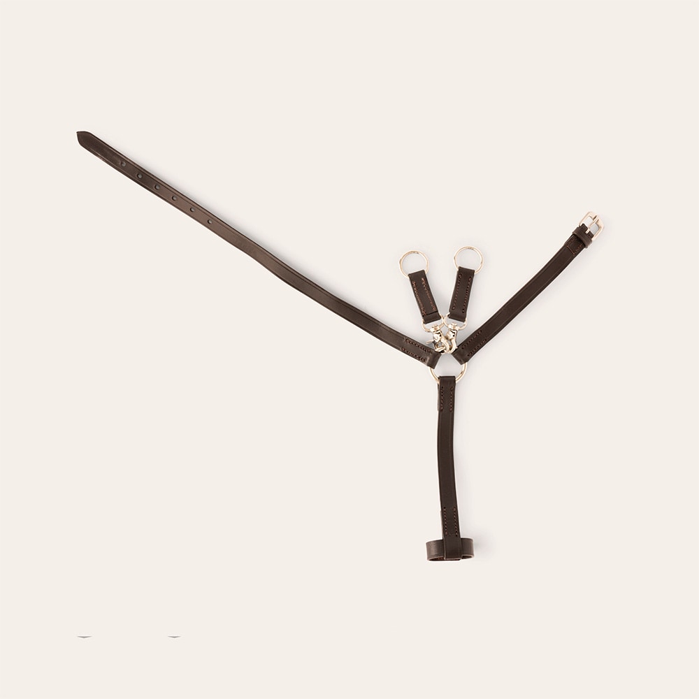  Kæphest Clifden Mini Martingale Hööks