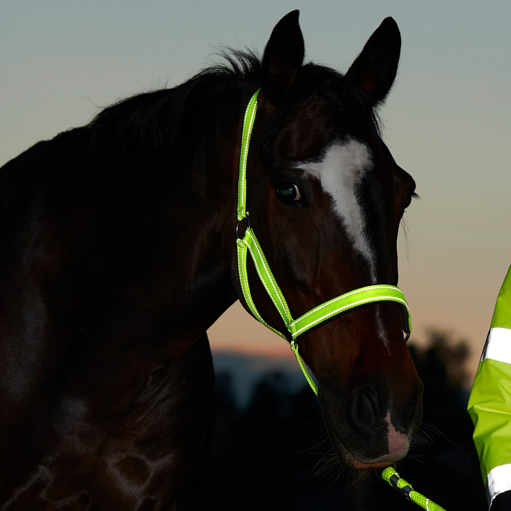 Refleksgrime  Hi-Viz Fairfield®